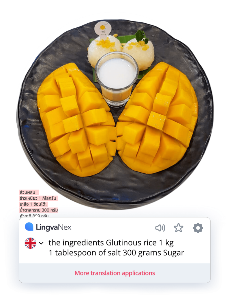 Break Language Barriers with Lingvanex